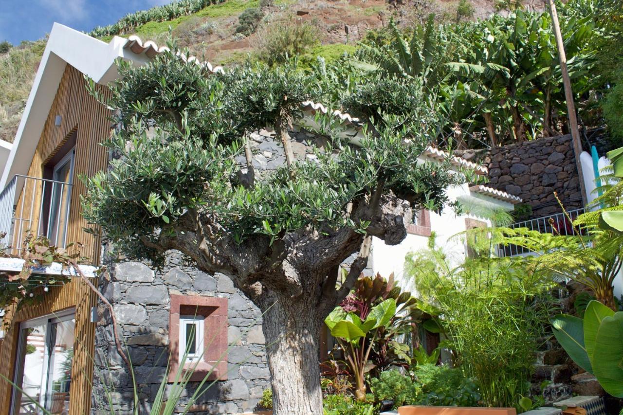 Ourmadeira - Villa Do Mar Iv, Secluded 卡列塔 外观 照片